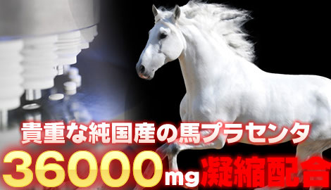 純国産高級馬プラセンタ36000　約6ヵ月分